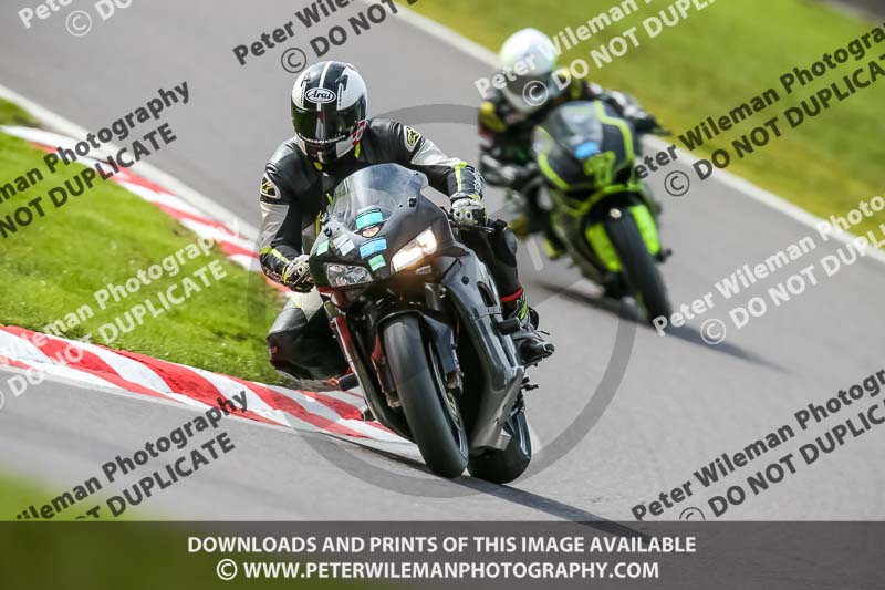 Oulton Park 21st March 2020;PJ Motorsport Photography 2020;anglesey;brands hatch;cadwell park;croft;donington park;enduro digital images;event digital images;eventdigitalimages;mallory;no limits;oulton park;peter wileman photography;racing digital images;silverstone;snetterton;trackday digital images;trackday photos;vmcc banbury run;welsh 2 day enduro